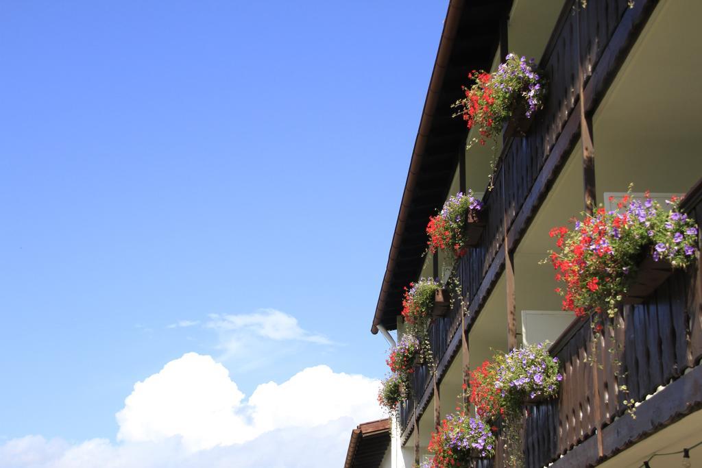 Hotel Alpenblick Berghof Хальблех Номер фото